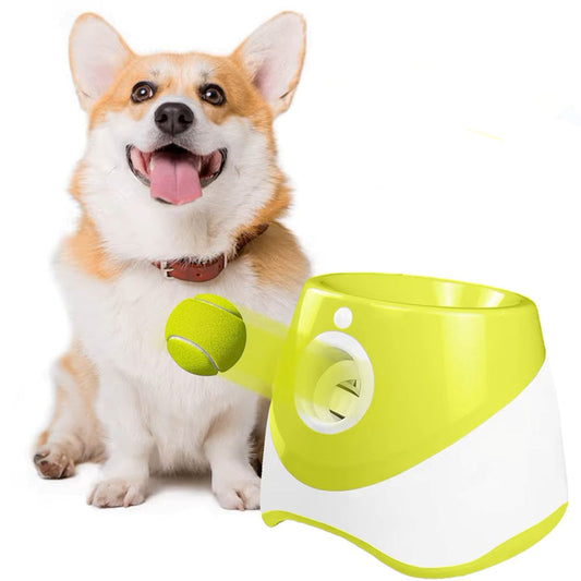 Automatic Pet Toy Tennis Machine